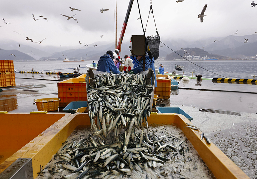 温暖化で魚種に変化